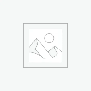 Unisex Regular T-Shirts
